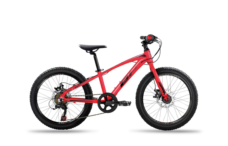 EXPERT JUNIOR 20" DISC