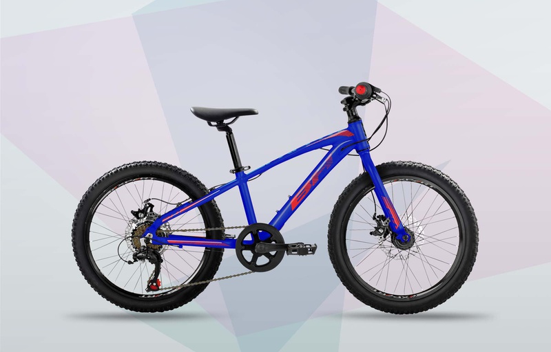 EXPERT JUNIOR 20" DISC